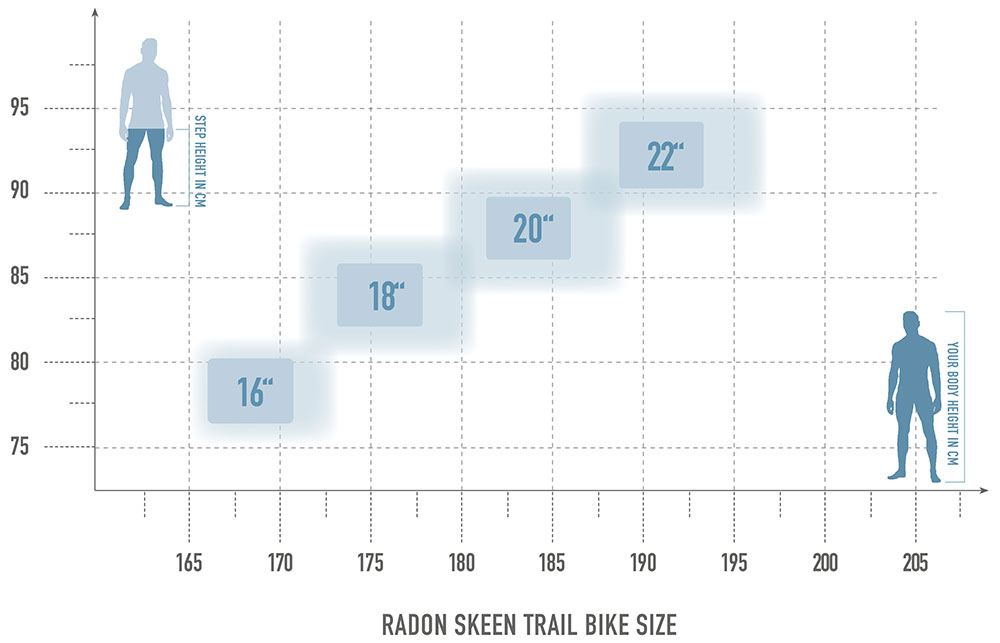 Radon SKEEN TRAIL AL 7.0 – Bild 3