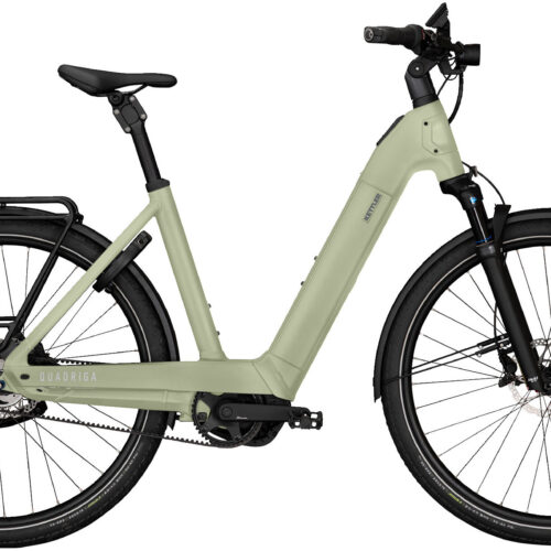 Kettler Quadriga PX5 RT 800 Wave Moor Green
